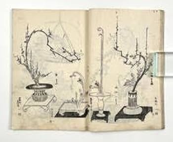 美品 江戸中期 手書き華道手本巻物◆三雅流挿花法式図（華道/いけばな）「遠州流」 Amazon.co.jp: 希少 1700年頃（江戸中期） 手書き華道手本巻物三